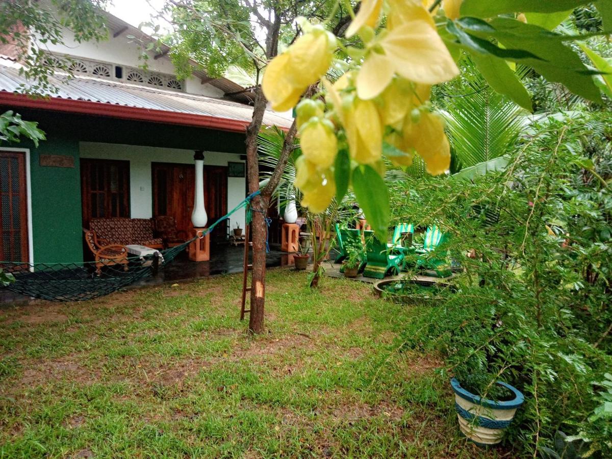 Sigiriya Village Home Stay Экстерьер фото
