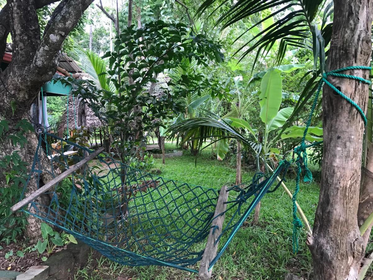 Sigiriya Village Home Stay Экстерьер фото