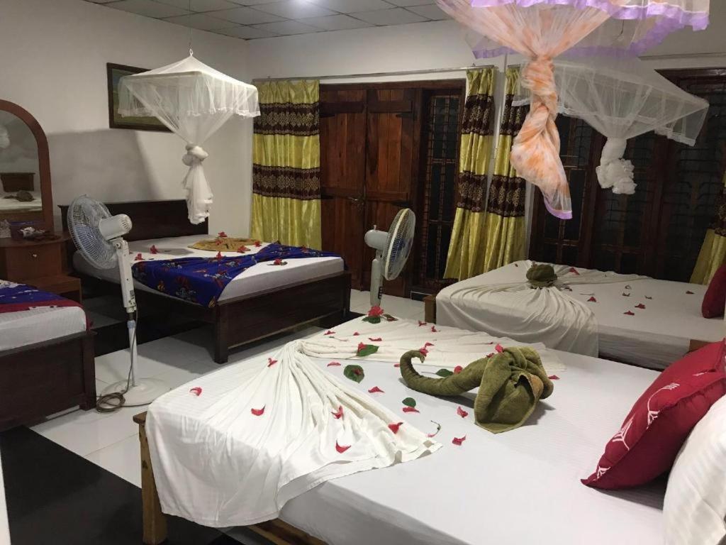 Sigiriya Village Home Stay Экстерьер фото